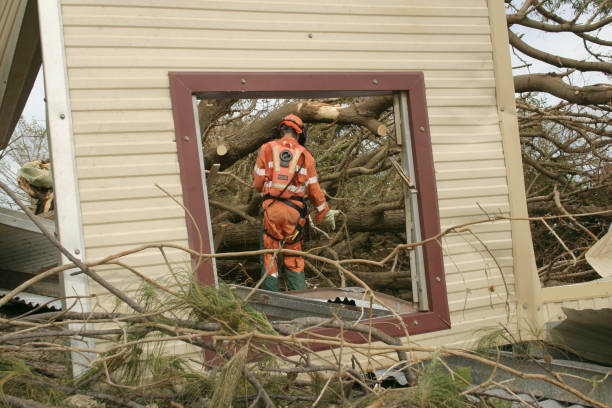 Best Tree Trimming and Pruning  in Turlock, CA